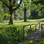 Szczelinka *